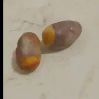 بدلی جات سنگ پا بند دست بند