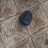 کلاه سیاه|لباس|شیروان (خراسان), |دیوار