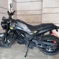 بنلی لئو چینو