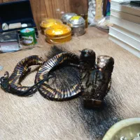 تسبیح مار هسته خرما لیلی مجنون