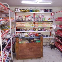 قفسه و استند