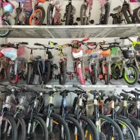 ردفوکس تازان/24v26v20