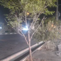 مغازه ۵۰ متری شهرک صنعتی بر بلوار