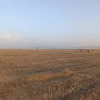 بارگیری کلش از سوسنگرد الهایی اهواز حمیدیه‌ب قزوین