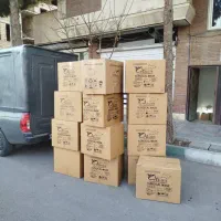 الکل صنعتی آرازش/محلول ضدعفونی/ژل آتش زا|آرایشی، بهداشتی، درمانی|تهران, تهرانپارس جنوبی|دیوار