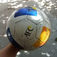 توپ چمن و سالن|ورزشهای توپی|تربت جام, حافظ|دیوار