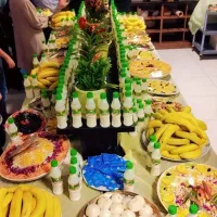 کاروان کربلا عقیله بنی هاشم قطاری اقساطی
