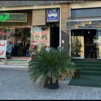 330-متر-همراه-با-مغازه