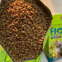 غذا خشک گربه بالغ فیدار فله و ۱۰ کیلویی