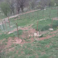 زمین چسب بافت روستای مرجان طالقان|فروش زمین و ملک کلنگی|طالقان, |دیوار