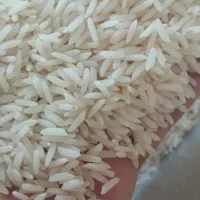 برنج هاشمی درجه یک