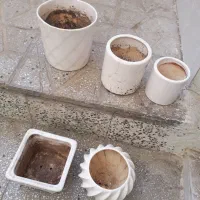 گلدان چینی