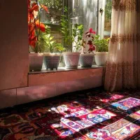 خانم جهت نگهداری از سالمند وامور منزل