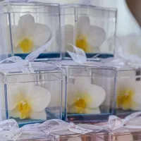 گیفتهای مناسبتی و مذهبی و اعیاد|صنایع دستی و سایر لوازم تزئینی|گلبهار, شهر جدید گلبهار|دیوار