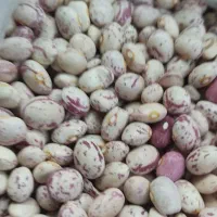 لوبیا چیتی و قرمز و تخمه کدو از مزرعه حذف واسطه