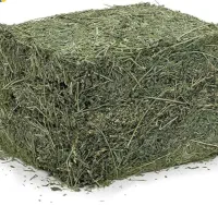 یونجه خشک دامی