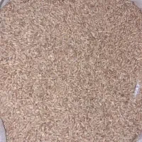 فروش بذر گندم نژاد میهن|لوازم جانبی حیوانات|خرمدره, |دیوار