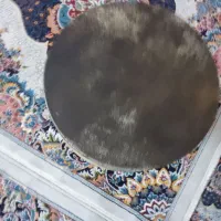 تنبک حلمی|سازهای سنتی|مبارکه, |دیوار