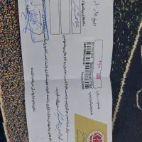 نوزین فروشی|اسب و تجهیزات اسب‌سواری|الیگودرز, |دیوار