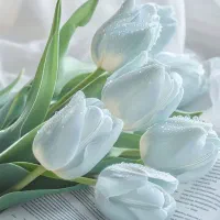 تور سیاحتی  شاد  یک روزه اخلمد