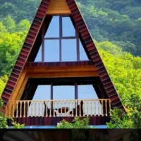 وگذار یک هکتارباغ حاشیه سنتو برای مشارکت