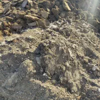 کود گوسفندو مرغ