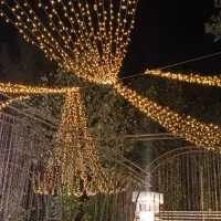 تشریفات مجالس