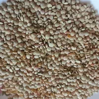 فروش ۴تن عدس درجه یک بوجاری شده|خوردنی و آشامیدنی|قشلاق دشت, |دیوار