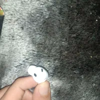 ایرپاد پرو تک گوش سمت راست|لوازم جانبی موبایل و تبلت|تهران, خواجه نصیر طوسی|دیوار