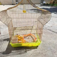 قفس پرنده در حد نو