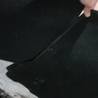 کف پای موکتی یک دست کامل حدنو