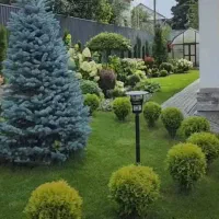 کلیه خدمات باغبانی باغ و باغچه|خدمات باغبانی و درختکاری|کرج, گوهردشت|دیوار