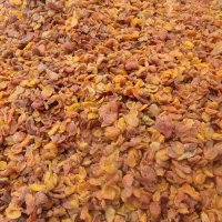 برگه زرد آلو نرم و تازه