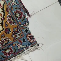 فرش 6متری|فرش|مشهد, کوی دروی|دیوار