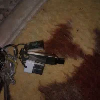 دو عدد فلش
