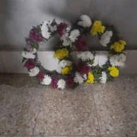 حلقه گردنی مناسب حجاج|گل و گیاه طبیعی|اهواز, اهواز|دیوار