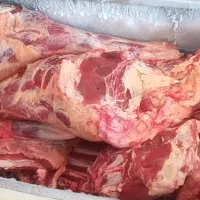 قصابی جمالپور توزیع تمام گوشت خوزستان