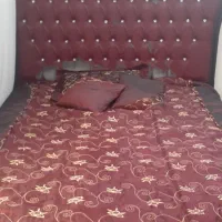 روتختی ساتن