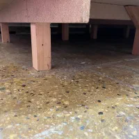 کفی تخت  چوبی