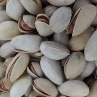 بادام+|خوردنی و آشامیدنی|قم, باسکول|دیوار