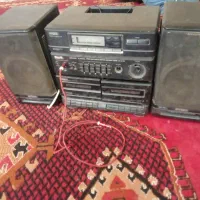 ضبط