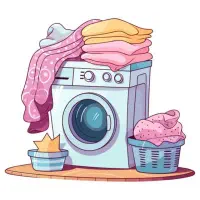 استخدام نیروی کار ماهر در خشکشویی و لباسشویی