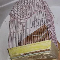 قفس کفتر شامپیون