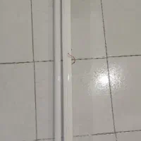 دو عدد مهتابی