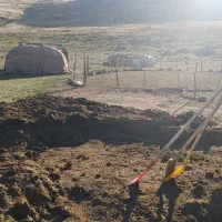 کود حیوانی برای کشاورزی