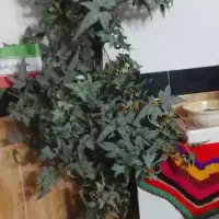 درختچه مصنوعی 180 نزدیک به دو متر