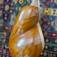 تار حرفه‌ای