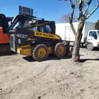 بابکت نیوهلند