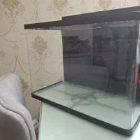 آکواریوم k580 دلسا با وسایل