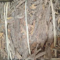 پخش عمده و خرده دارچین قلم و پودر دارچین خالص و